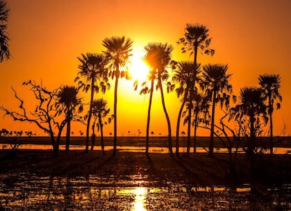 Paisaje de los Esteros, las zonas pantanosas de la provincia de Corrientes, al noroeste de Argentina.