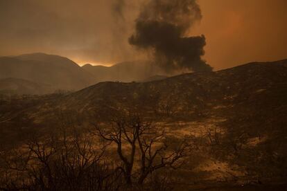 Un paisaje calcinado tras ser devorado por las llamas en Santa Clarita, California, el 23 de julio de 2016.