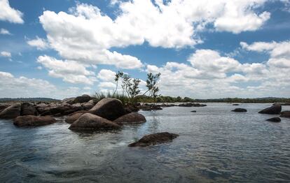 Um dos jardins naturais do Xingu.