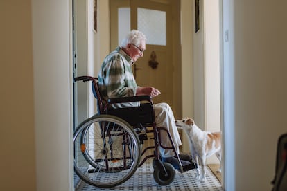 Un hombre en silla de ruedas junto a su perro.
