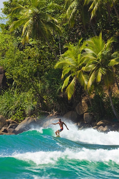 Surf en la playa de Mirissa.