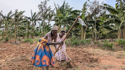 Herramientas contra el hambre y el cambio climático en Uganda