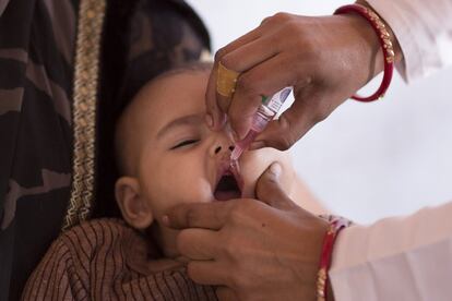 El médico suministra la vacuna de la polio a un bebé. Gracias a los esfuerzos gubernamentales por inmunizar masivamente a todos los niños de cero a cinco años, con el apoyo de organizaciones como Unicef, la Fundación Bill & Melinda Gates, Grupo CORE y Rotary, India pasó de registrar 200.000 nuevos casos en 1995 a ninguno en 2012 (el último fue una niña de cuatro años en 2011).