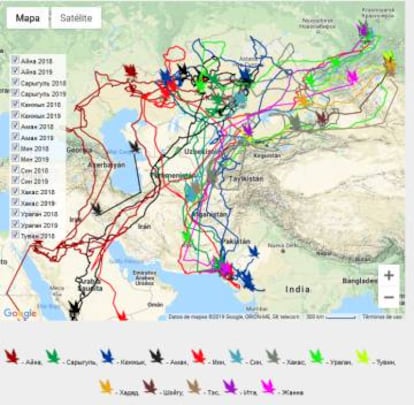 Mapa que localiza las rutas de las aves investigadas.