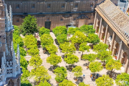 Turismo Sevilla