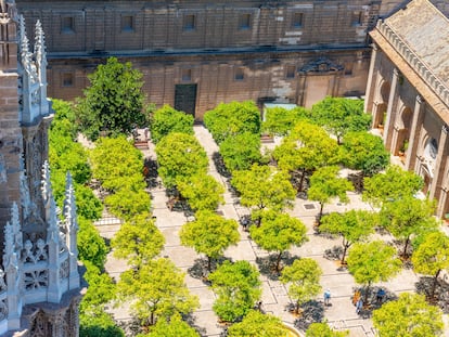 Vista aérea del Patio de los Naranjos de la catedral de Sevilla desde la Giralda.