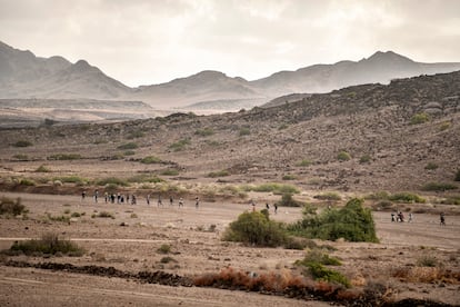 El wadi (cauce seco de un río) de Daas Biyo al amanecer, cuando los habitantes de poblaciones cercanas acuden a su trabajo en los huertos que aprovechan el agua que fluye tras el caudal seco.