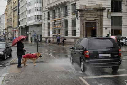 Un hombre espera para cruzar con su perro en un paso de cebra de A Coruña, este miércoles bajo las lluvias de 'Gaetan'.