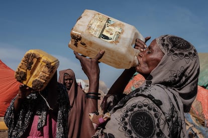 Cumbre del Clima Egipto noviembre