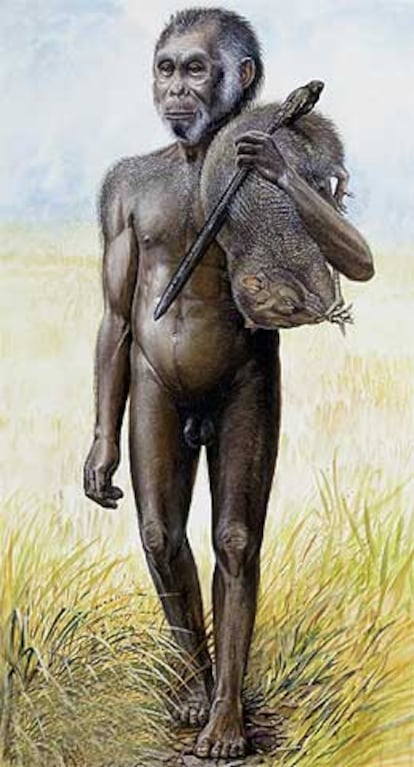Un dibujo imaginario del 'Homo floresiensis', según la revista National Geographic