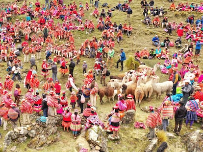 Cientos de personas de la comunidad de Patacancha, en Perú, participan en una  'Queuña Raymi' (celebración para poblar los bosques de altura).