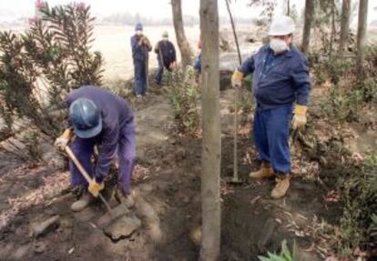 Trabajadores retiran lodos del vertido de Aznalcóllar, en 1998.