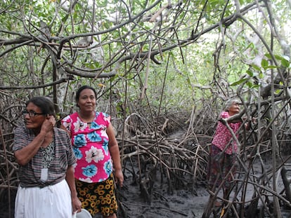 Rosa Martínez, junto a su madre María Pilar y su prima Verónica, recorren el manglar de la isla Punta Arenas en busca de cangrejos para la cena antes de que suba la marea.