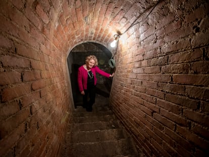 Síle Maguire, la embajadora de Irlanda en España, en un túnel en su residencia oficial en Madrid.