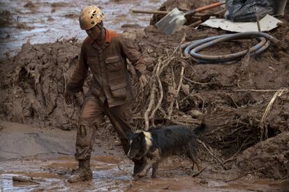 Un bombero y su perro de rescate buscan víctimas del colapso de la represa cerca de la ciudad de Brumadinho, en el Estado de Minas Gerais, al sureste de Brasil.