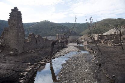 A picture taken on August 30, 2017, shows sheep walking around the remains of the old village of Mansilla, in La Rioja region, usually hidden beneath waters of the Mansilla reservoir.
The ruins of the old village can be seen due to the low levels of water following a drought in the area. / AFP PHOTO / ANDER GILLENEA