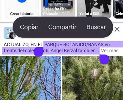 Función de copiado rápido de texto con el Google Pixel