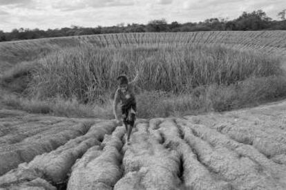 Fotografía de Alexandra Dos Santos para 'Chaco Crepuscular'