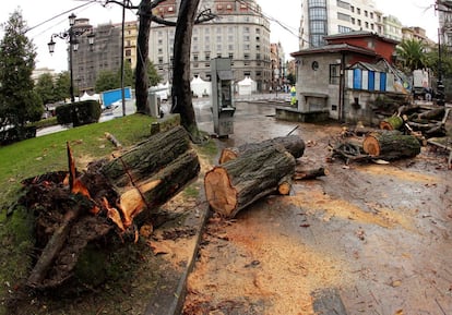 En Oviedo, donde las rachas han superado la pasada noche los 70 kilómetros por hora, el viento ha derribado varios árboles del Campo de San Francisco, uno de los cuales ha provocado destrozos en la oficina de turismo popularmente conocida como El Escorialín, el 27 de diciembre.