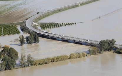 La carretera a la altura de Lora del  Río, con cultivos inundados por las aguas.