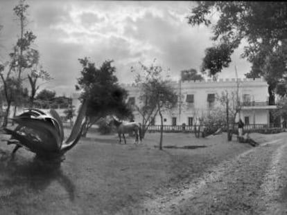 Una exposición muestra la intimidad del México más señorial y nostálgico