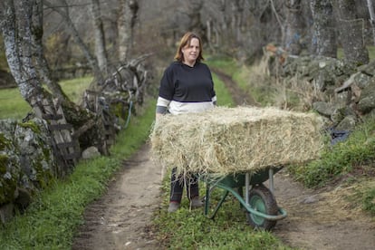 María, ganadera de Navalmoral. La ganadería se resintió especialmente tras el incendio, por la desaparición de los pastos.