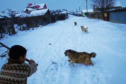 Uno de los niños se defiende de unos perros asilvestrados que campan por el pueblo.