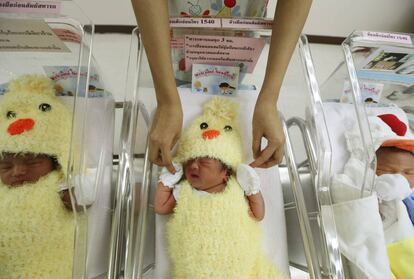 Varios bebés, nacidos en 2017, descansan disfrazados de pollitos bajo los cuidados de una enfermera en la sala nido del hospital Paolo Chockchai 4, en Bangkok (Tailandia).