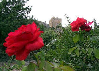 Jardín botánico del castillo de Alcalá la Real (Jaén).