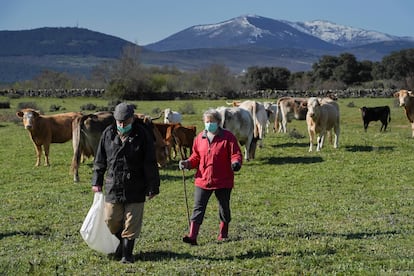 Los hermanos Justo, de 73 años, y Encarnación, de 69, dan de comer a las vacas en Piñuécar-Gandullas (Madrid).