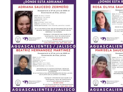 Fichas de búsqueda de las hermanas Saucedo Zermeño.