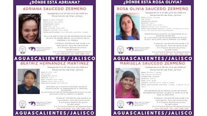 Fichas de búsqueda de las hermanas Saucedo Zermeño.