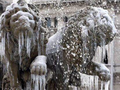 Los leones de la fuente de La Cibeles de Madrid amanecieron ayer helados.