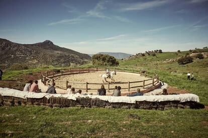 El picadero de la finca La Donaira ofrece un espectáculo de rejoneo con caballos lusitanos.