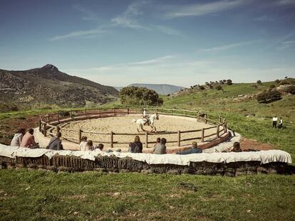 El picadero de la finca La Donaira ofrece un espectáculo de rejoneo con caballos lusitanos.