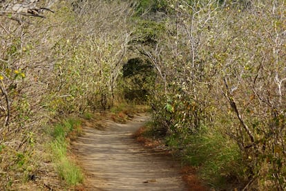 Un sendero en el Parque Nacional Rincón de la Vieja en Costa Rica.