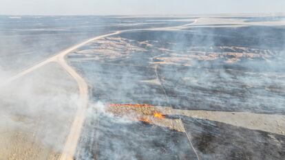 Texas disaster declaration