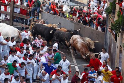 Los cabestros a su llegada a la curva la calle de la Estafeta.