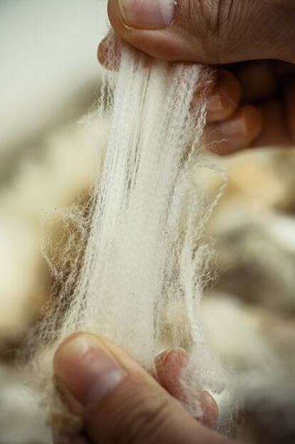 Loro Piana ha creado una nueva línea textil: The Gift of Kings, que solo trabaja con lana de merino ultrafina de 12 micras.