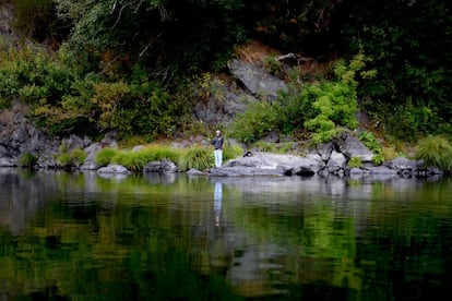 La pesca ha sido tradicionalmente el mayor medio de subsistencia de los yurok. Pero la subida de las temperaturas y la falta de agua por ausencia de nieve y por proyectos hidráulicos ribera arriba la están poniendo en peligro. 
