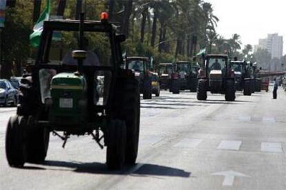 Varios tractores marchan por las calles de Sevilla en protesta contra la reforma del azúcar.