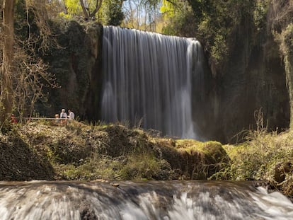 Vista de La Caprichosa, una de las cascadas del Monasterio de Piedra, espacio natural que acaba de reabrir sus puertas en Nuévalos (Zaragoza).