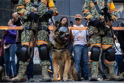 Simulacro Nacional 2025