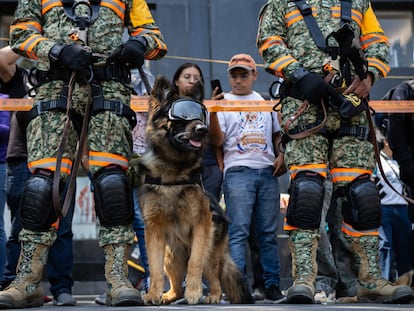 Primer Simulacro Nacional 2025, en Ciudad de México, el 29 de abril.