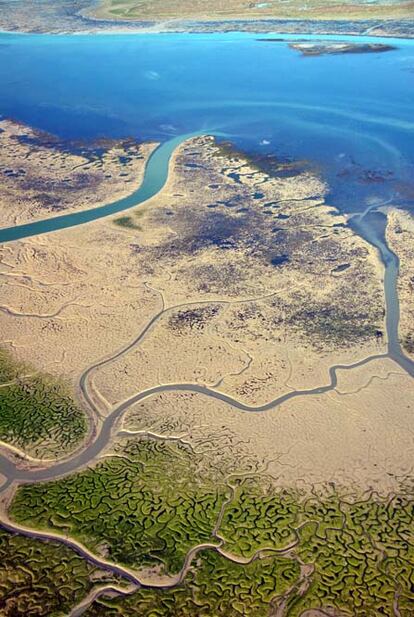 Imagen del libro editado por la Consejería de Medio Ambiente de la Junta de Andalucia donde se recogen fotografías tomadas por la red de voluntarios ambientales en el Parque Natural Bahía de Cádiz el pasado mes de marzo de 2011 cuando se produjeron unas excepcionales mareas.