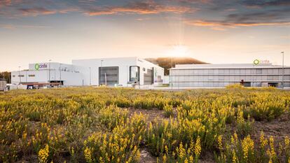 Planta de producción de la farmacéutica Cinfa, ubicada en la localidad de Olloki