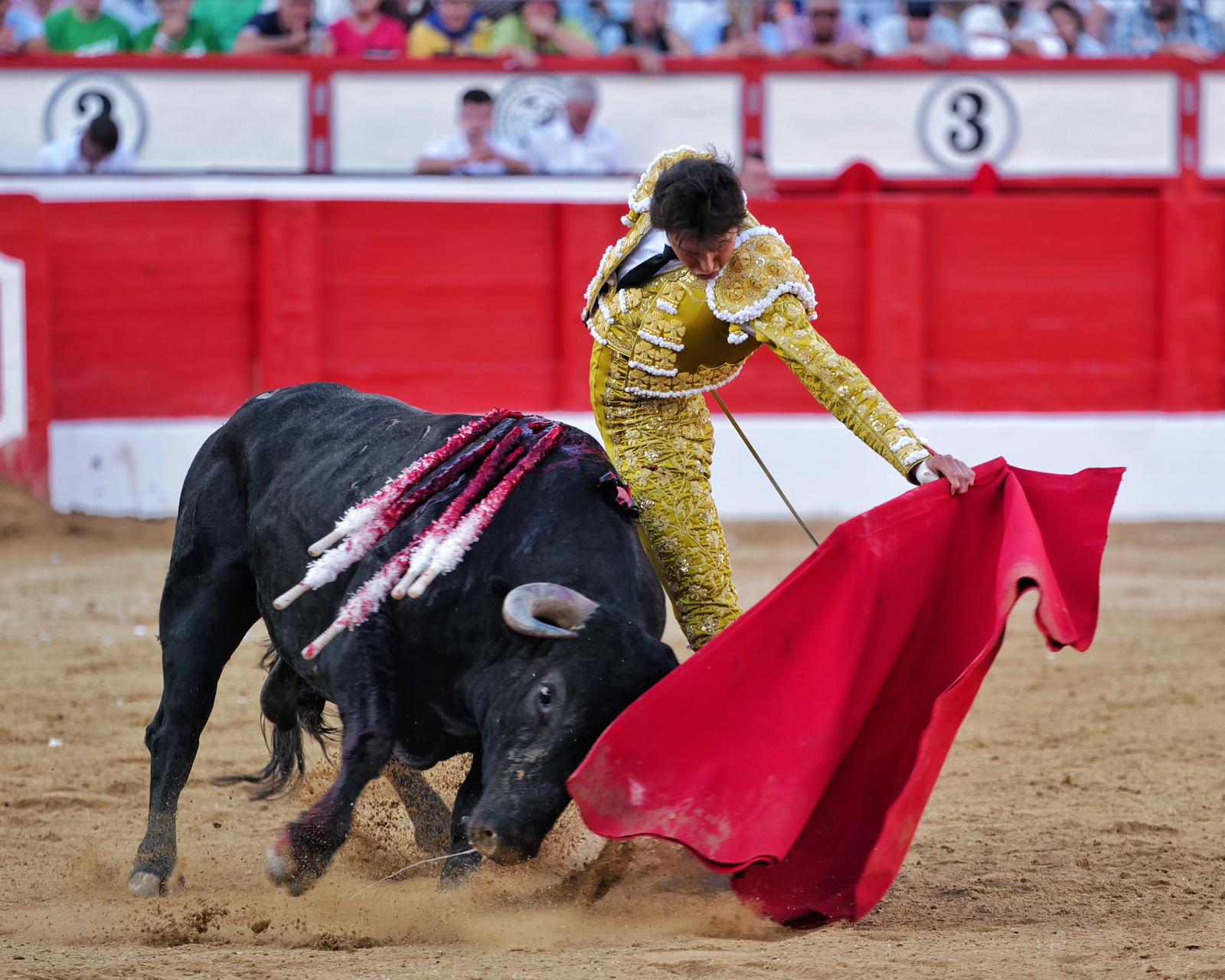Roca Rey, ayer, en la plaza de Santander.