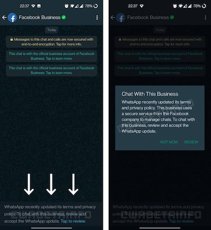 Nuevos términos de servicio de WhatsApp.