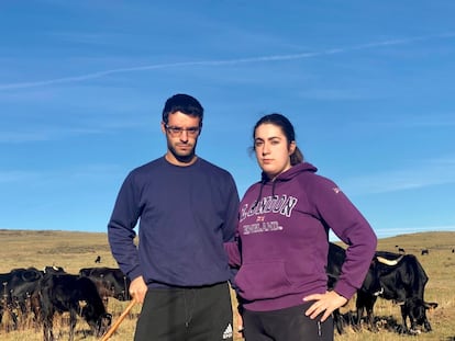 El ganadero Alejandro García y la ingeniera Silvia Casado, junto a las vacas.