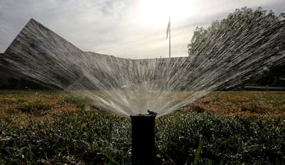 Un aspersor en pleno funcionamiento en Sacramento, California (EE.UU.) en julio de 2014. Los residentes de este Estado norteamericano han tenido que dejar de regar sus jardines y los restaurantes no pueden dar agua a sus clientes salvo que lo soliciten bajo las nueva normativa aprobada tras las sequ&iacute;as que asuelan la regi&oacute;n.